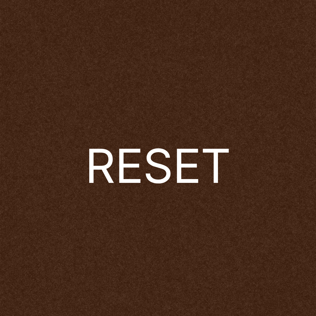 1:1 Coaching RESET • 3 MONATE
